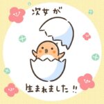 次女が生まれました